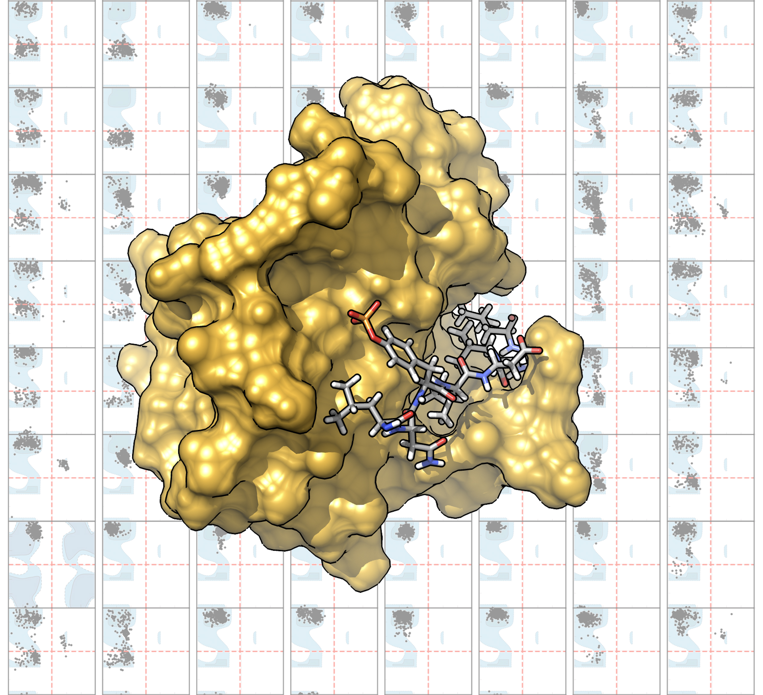 Structure of a complex between an octapeptide comprising a phosphotyrosine and the SH2 domain of the SHP2 protein from Molecular Dynamics simulations. On the background the Ramachandran Plots for different peptide sequences sampled during independent simulations.