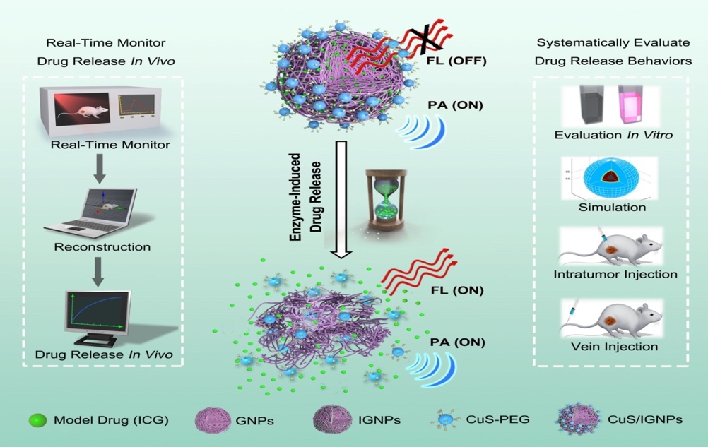 Development of an enzyme-activated anti-cancer approach.