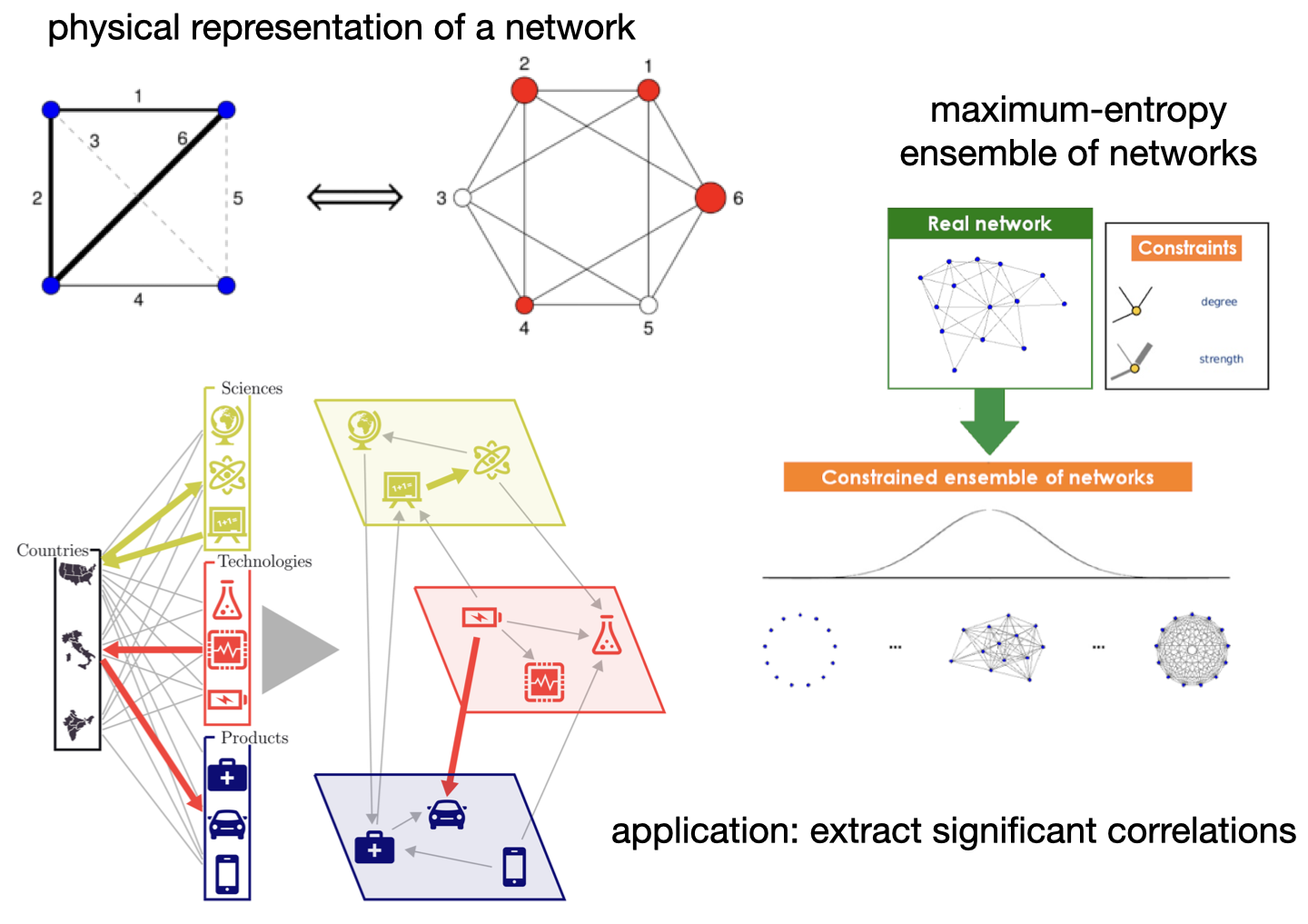 FIG8: Meccanica statistica delle reti con applicazioni