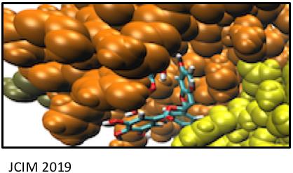 Interaction site of Epigallocatechin-3-gallate with Insulin aggregates